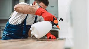 Best Pest Exclusion Services  in Rio Verde, AZ